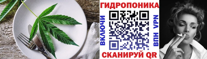 купить наркотик  Новоузенск  Печенье с ТГК марихуана 