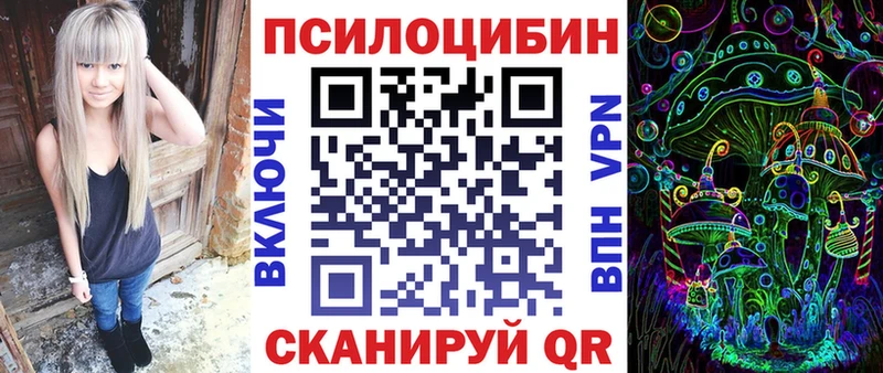 Псилоцибиновые грибы Psilocybe  Новоузенск 